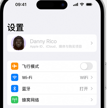 旅顺口appleID维修服务iPhone设置中Apple ID显示为灰色无法使用 