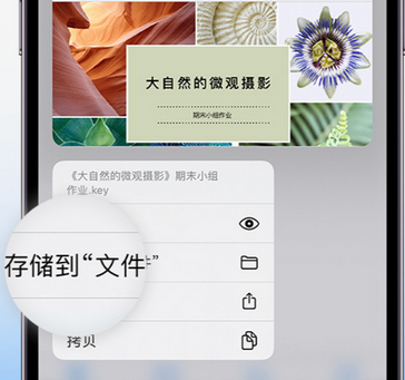 旅顺口apple维修中心分享iPhone文件应用中存储和找到下载文件