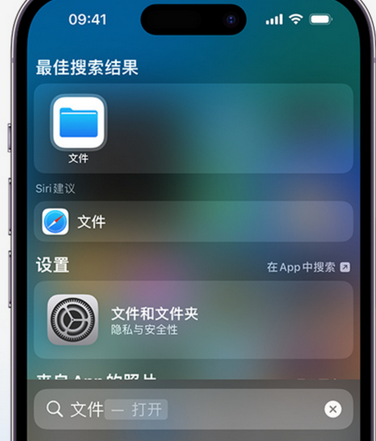 旅顺口apple维修中心分享iPhone文件应用中存储和找到下载文件 