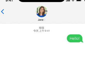 旅顺口apple维修iPhone上无法正常发送iMessage信息