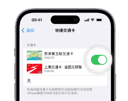 旅顺口apple维修点分享iPhone上更换Apple Pay快捷交通卡手绘卡面 