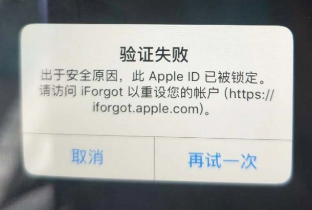 旅顺口iPhone维修分享iPhone上正常登录或使用AppleID怎么办 