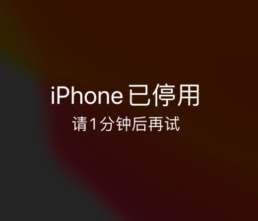 旅顺口苹果手机维修分享:iPhone 显示“不可用”或“已停用”怎么办？还能保留数据吗？ 