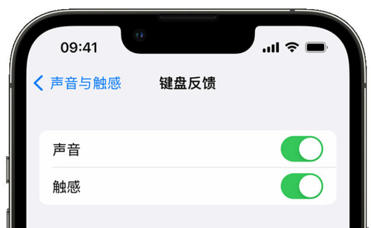 旅顺口苹果手机维修分享iPhone 14触感键盘使用方法 