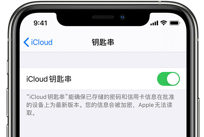 旅顺口苹果手机维修分享在 iPhone 上开启 iCloud 钥匙串之后会储存哪些信息 