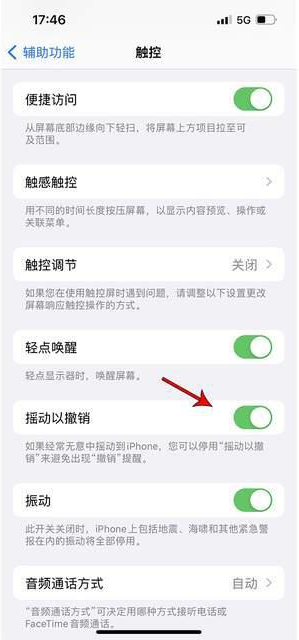 旅顺口苹果手机维修分享iPhone手机如何设置摇一摇删除文字 