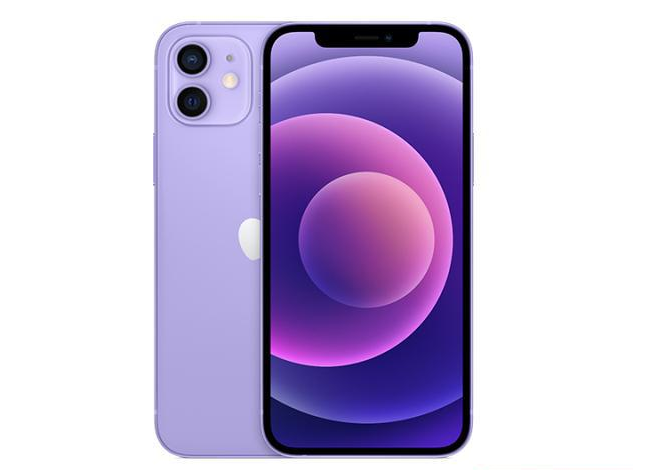 旅顺口苹果手机维修分享现阶段要不要入手紫色版iPhone12 